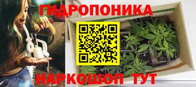 прущие крисы Гусев