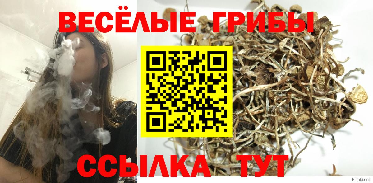Галлюциногенные грибы ЛСД  Вход с VPN  Галлюциногенные грибы Cubensis  Губкинский 
