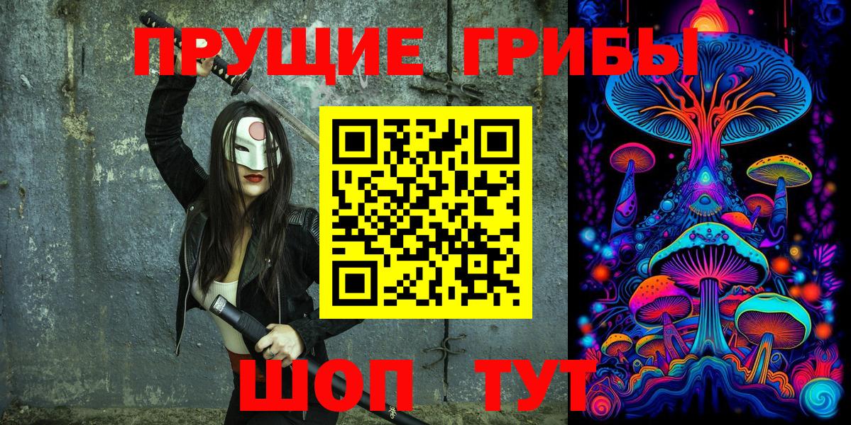 Псилоцибиновые грибы Psilocybine cubensis Губкинский